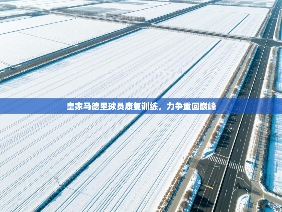 皇家马德里球员康复训练,力争重回巅峰 第1张