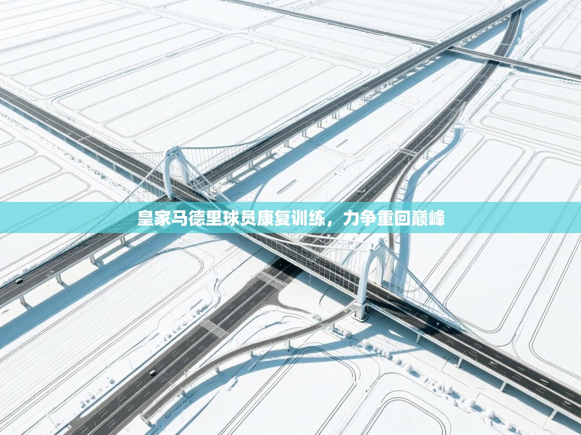 皇家马德里球员康复训练,力争重回巅峰 第2张