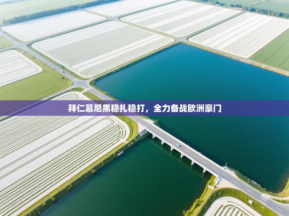 拜仁慕尼黑稳扎稳打，全力备战欧洲豪门  第1张