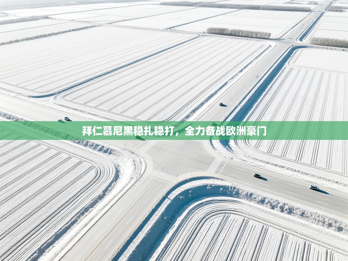 拜仁慕尼黑稳扎稳打，全力备战欧洲豪门  第2张